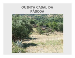 QUINTA CASAL DA
    PÁSCOA
 