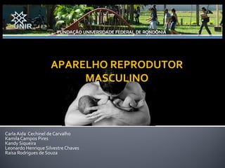 Núcleo de Saúde
                                     Curso de Medicina

                     APARELHO REPRODUTOR
                          MASCULINO



Carla Aida Cechinel de Carvalho
Kamila Campos Pires
Kandy Siqueira
Leonardo Henrique Silvestre Chaves
Raísa Rodrigues de Souza
 