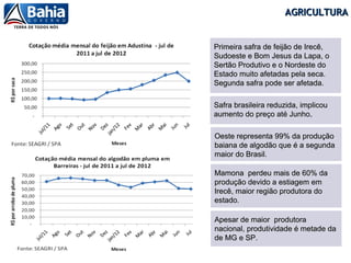 AGRICULTURA


Primeira safra de feijão de Irecê,
Sudoeste e Bom Jesus da Lapa, o
Sertão Produtivo e o Nordeste do
Estado muito afetadas pela seca.
Segunda safra pode ser afetada.

Safra brasileira reduzida, implicou
aumento do preço até Junho.

Oeste representa 99% da produção
baiana de algodão que é a segunda
maior do Brasil.

Mamona perdeu mais de 60% da
produção devido a estiagem em
Irecê, maior região produtora do
estado.

Apesar de maior produtora
nacional, produtividade é metade da
de MG e SP.
 