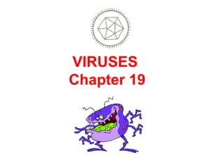 VIRUSES   Chapter 19 