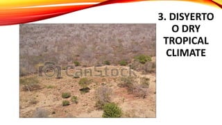 3. DISYERTO
O DRY
TROPICAL
CLIMATE
 