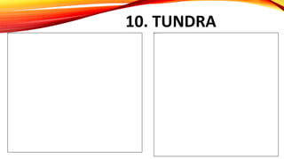 10. TUNDRA
 