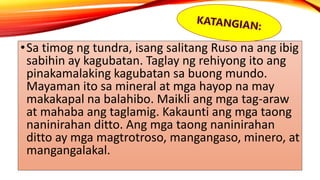 •Sa timog ng tundra, isang salitang Ruso na ang ibig
sabihin ay kagubatan. Taglay ng rehiyong ito ang
pinakamalaking kagubatan sa buong mundo.
Mayaman ito sa mineral at mga hayop na may
makakapal na balahibo. Maikli ang mga tag-araw
at mahaba ang taglamig. Kakaunti ang mga taong
naninirahan ditto. Ang mga taong naninirahan
ditto ay mga magtrotroso, mangangaso, minero, at
mangangalakal.
 