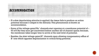 ▪ If a slow depolarizing stimulus is applied, the tissue fails to produce an action
potential because it adapts to the stimulus.This phenomenon is known as
accommodation.
▪ Some of the voltage-gated Na+ channels start opening at a membrane potential of –
63 mV. But they soon get inactivated before another set of channel opens; because,
the membrane takes longer time to arrive at the next level of potential.
▪ Besides, the slow voltage-gated K+ channels open allowing compensatory efflux of
K+ ions which opposes depolarization to critical firing potential.
 