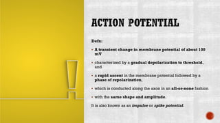 Defn:
▪ A transient change in membrane potential of about 100
mV
▪ characterized by a gradual depolarization to threshold,
and
▪ a rapid ascent in the membrane potential followed by a
phase of repolarization,
▪ which is conducted along the axon in an all-or-none fashion
▪ with the same shape and amplitude.
It is also known as an impulse or spike potential.
 