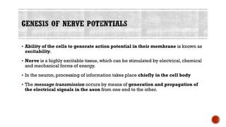 ▪ Ability of the cells to generate action potential in their membrane is known as
excitability.
▪ Nerve is a highly excitable tissue, which can be stimulated by electrical, chemical
and mechanical forms of energy.
▪ In the neuron, processing of information takes place chiefly in the cell body
▪ The message transmission occurs by means of generation and propagation of
the electrical signals in the axon from one end to the other.
 