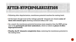 ▪ Following after-depolarization, membrane potential reaches the resting level.
▪ At this level, though most of the voltage-gated K+ channels are closed, some of
them still remain open allowing continued efflux of K+ ions.
▪ As a result, the membrane potential becomes more negative than the RMP, giving
rise to the prolonged and slow undershoot, which is called as phase of after-
hyperpolarization.
▪ Finally, the K+ channels completely close, restoring the membrane potential to
the resting level.
 