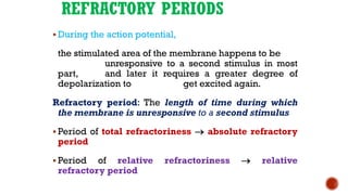 REFRACTORY PERIODS
▪ During the action potential,
the stimulated area of the membrane happens to be
unresponsive to a second stimulus in most
part, and later it requires a greater degree of
depolarization to get excited again.
Refractory period: The length of time during which
the membrane is unresponsive to a second stimulus
▪ Period of total refractoriness → absolute refractory
period
▪ Period of relative refractoriness → relative
refractory period
 