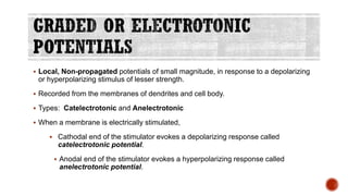 ▪ Local, Non-propagated potentials of small magnitude, in response to a depolarizing
or hyperpolarizing stimulus of lesser strength.
▪ Recorded from the membranes of dendrites and cell body.
▪ Types: Catelectrotonic and Anelectrotonic
▪ When a membrane is electrically stimulated,
▪ Cathodal end of the stimulator evokes a depolarizing response called
catelectrotonic potential.
▪ Anodal end of the stimulator evokes a hyperpolarizing response called
anelectrotonic potential.
 