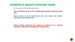MECHANISM OF ABSOLUTE REFRACTORY PERIOD
▪ At the peak of the action potential,
the inactivation gates of the voltage-gated sodium channels close
and
they remain in that inactivated state for some time before
returning to the resting state.
▪ These sodium channels can reopen in response to a second
stimulus, only after attaining the resting state.
 