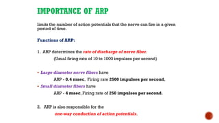 IMPORTANCE OF ARP
limits the number of action potentials that the nerve can fire in a given
period of time.
Functions of ARP:
1. ARP determines the rate of discharge of nerve fiber.
(Usual firing rate of 10 to 1000 impulses per second)
▪ Large diameter nerve fibers have
ARP - 0.4 msec, Firing rate 2500 impulses per second,
▪ Small diameter fibers have
ARP - 4 msec, Firing rate of 250 impulses per second.
2. ARP is also responsible for the
one-way conduction of action potentials.
 