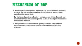 MECHANISM OF RRP
1. All of the sodium channels present at the site of stimulus does not
achieve the activated state or inactivated state or resting state,
exactly at the same time.
▪ By the time of relative refractory period, some of the channels have
returned to their initial resting state, and they can open in response
to a second stimulus.
2. A suprathreshold stimulus can spread to larger area over the
membrane and open more number of voltage-gated sodium
channel.
 
