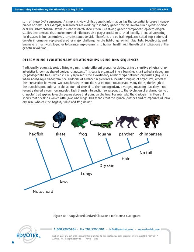 other methods of determining evolutionary relationships