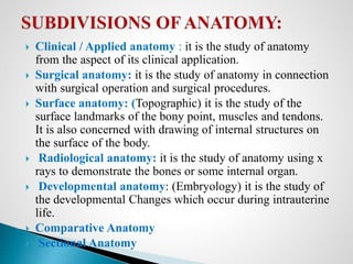 Introduction to Anatomy and Organization of human body | PPTX