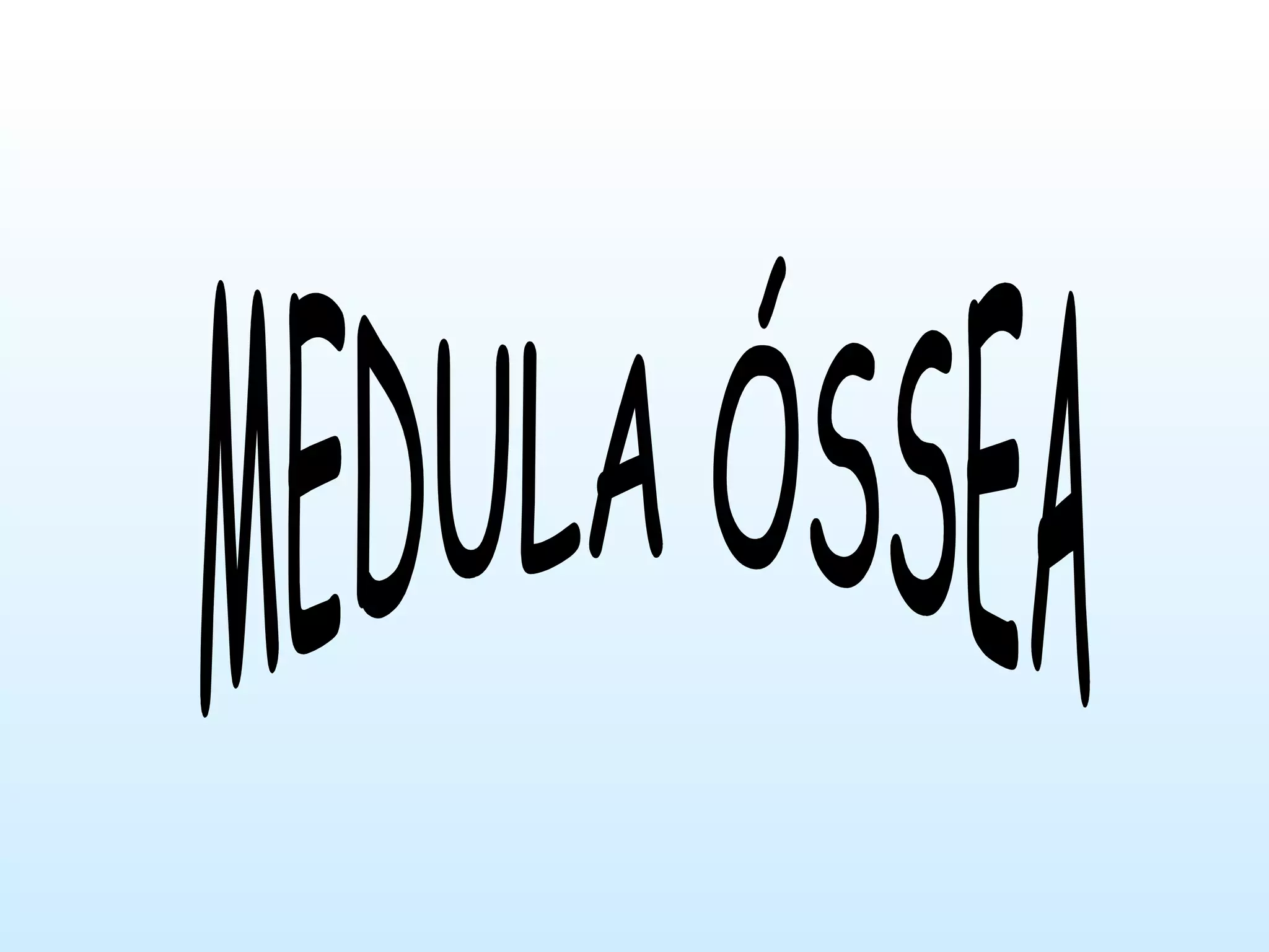 MEDULA ÓSSEA 
