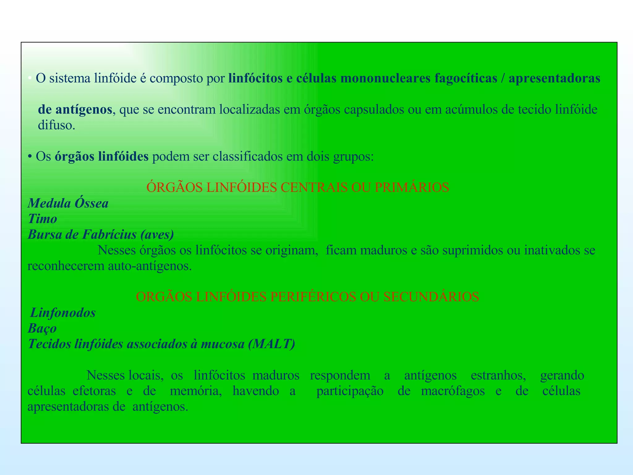 O sistema linfóide é composto por  linfócitos e células mononucleares fagocíticas / apresentadoras   de antígenos , que se encontram localizadas em órgãos capsulados ou em acúmulos de tecido linfóide  difuso. Os  órgãos linfóides  podem ser classificados em dois grupos:   ÓRGÃOS LINFÓIDES CENTRAIS OU PRIMÁRIOS Medula Óssea Timo Bursa de Fabrícius (aves)   Nesses órgãos os linfócitos se originam,  ficam maduros e são suprimidos ou inativados se reconhecerem auto-antígenos.   ORGÃOS LINFÓIDES PERIFÉRICOS OU SECUNDÁRIOS   Linfonodos  Baço Tecidos linfóides associados à mucosa (MALT) Nesses locais,  os  linfócitos  maduros  respondem  a  antígenos  estranhos,  gerando  células  efetoras  e  de  memória,  havendo  a  participação  de  macrófagos  e  de  células apresentadoras de  antígenos.  