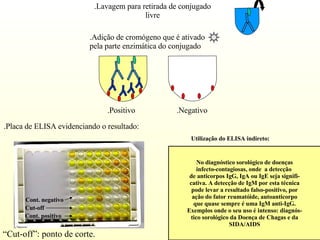 .Lavagem para retirada de conjugado livre .Adição de cromógeno que é ativado pela parte enzimática do conjugado  .Positivo  .Negativo .Placa de ELISA evidenciando o resultado: No diagnóstico sorológico de doenças infecto-contagiosas, onde  a detecção  de anticorpos IgG, IgA ou IgE seja signifi- cativa. A detecção de IgM por esta técnica pode levar a resultado falso-positivo, por ação do fator reumatóide, autoanticorpo que quase sempre é uma IgM anti-IgG. Exemplos onde o seu uso é intenso: diagnós- tico sorológico da Doença de Chagas e da SIDA/AIDS Utilização do ELISA indireto: “ Cut-off”: ponto de corte. Cont. negativo Cut-off Cont. positivo 
