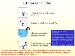 ELISA sanduíche   1. Placa de Elisa revestida com Ac específico   2.Adição de solução-teste contendo Ag   3. Lavagem para retirada  do Ag não capturado   4. Adição de outro Ac marcado, nova lavagem e revelação Utilização: esta técnica é muito usada para a dosagem de hormônios, marcadores tumorais e outras proteínas séricas, bem como para a detecção de antígenos virais e de outros patógenos, nas fezes, na urina em secreções etc. Pode detectar 10 -12  a 10 -14 g. Para este teste se tornar quantitativo, é necessário  a  construção  de  uma curva com os  valores de densidade ótica obtidos a partir da  reação com quantidades  conhecidas  (padrões)  do antígeno a ser dosado. O valor de D.O. obtido com a amostra (teste),  será então usado para  interpolação na mencionado curva. 