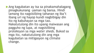 Ang kagubatan ay isa sa pinakamahalagang
pinagkukunang –yaman ng bansa. Hindi
lamang ito nagsisilbing tahanan ng iba’t
ibang uri ng hayop kundi nagbibigay din
ito ng kabuhayan sa mga tao.
Nakatutulong din ito upang maiwasan ang
pagguho ng lupa, at nagsisilbing
proteksyon sa mga water sheds. Bukod sa
mga ito, nakatutulong din ang mga
kagubatan sa mitigasyon ng climate
change.
 