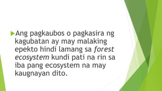 Ang pagkaubos o pagkasira ng
kagubatan ay may malaking
epekto hindi lamang sa forest
ecosystem kundi pati na rin sa
iba pang ecosystem na may
kaugnayan dito.
 