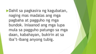 Dahil sa pagkasira ng kagubatan,
naging mas madalas ang mga
pagbaha at pagguho ng mga
bundok. Iniaanod ang mga lupa
mula sa pagguho patungo sa mga
daan, kabahayan, bukirin at sa
iba’t-ibang anyong tubig.
 