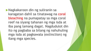 Nagkakaroon din ng suliranin sa
karagatan dahil sa tinatawag na coral
bleaching na pumapatay sa mga coral
reef na siyang tahanan ng mga isda at
iba pang lamang dagat. Nagdudulot din
ito ng pagbaba sa bilang ng nahuhuling
mga isda at pagkawala (extinction) ng
ilang mga species.
 