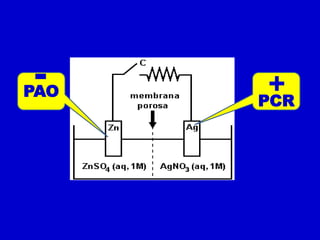 +
 -
PAO    +
      PCR
 