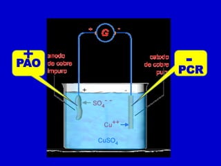 +
 +
PAO    -
      PCR
 