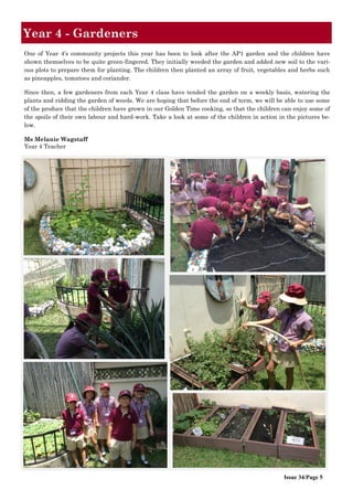 Issue 34/Page 5
Year 4 - Gardeners
One of Year 4’s community projects this year has been to look after the AP1 garden and the children have
shown themselves to be quite green-fingered. They initially weeded the garden and added new soil to the vari-
ous plots to prepare them for planting. The children then planted an array of fruit, vegetables and herbs such
as pineapples, tomatoes and coriander.
Since then, a few gardeners from each Year 4 class have tended the garden on a weekly basis, watering the
plants and ridding the garden of weeds. We are hoping that before the end of term, we will be able to use some
of the produce that the children have grown in our Golden Time cooking, so that the children can enjoy some of
the spoils of their own labour and hard-work. Take a look at some of the children in action in the pictures be-
low.
Ms Melanie Wagstaff
Year 4 Teacher
 