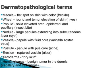 Macule – flat spot on skin with color (freckle)
Wheal – round and temp. elevation of skin (hives)
Papule - solid elevated area, epidermal and
papillary (insect bite)
Nodule - large papules extending into subcutaneous
layer (cyst)
Vesicle - papule with fluid core (varicella zoster
virus)
Pustule - papule with pus core (acne)
Erosion - ruptured vesicle (ulcer)
Xeroderma - "dry skin"
Hemangiomas - benign tumor in the dermis
(capillary and cavernous)
 