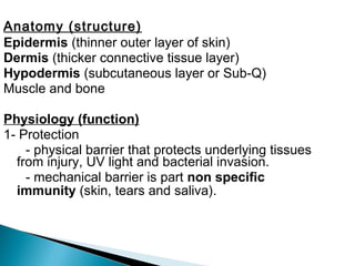 Anatomy (structure)
Epidermis (thinner outer layer of skin)
Dermis (thicker connective tissue layer)
Hypodermis (subcutaneous layer or Sub-Q)
Muscle and bone
Physiology (function)
1- Protection
- physical barrier that protects underlying tissues
from injury, UV light and bacterial invasion.
- mechanical barrier is part non specific
immunity (skin, tears and saliva).
 