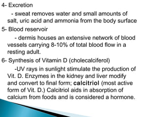 4- Excretion
- sweat removes water and small amounts of
salt, uric acid and ammonia from the body surface
5- Blood reservoir
- dermis houses an extensive network of blood
vessels carrying 8-10% of total blood flow in a
resting adult.
6- Synthesis of Vitamin D (cholecalciferol)
-UV rays in sunlight stimulate the production of
Vit. D. Enzymes in the kidney and liver modify
and convert to final form; calcitriol (most active
form of Vit. D.) Calcitriol aids in absorption of
calcium from foods and is considered a hormone.
 