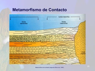 Metamorfismo de Contacto 
Metamorfismo de contacto (segundo Silva etal, 1997). 
29 
 