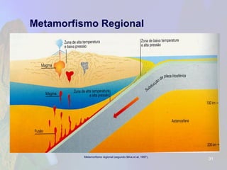 Metamorfismo Regional 
Metamorfismo regional (segundo Silva etal, 1997). 31 
 