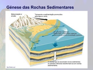 Génese das Rochas Sedimentares 
5 
http://fossil.uc.pt  