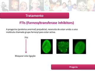 Apresentação Intermédia 2