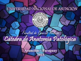 UNIVERSIDAD NACIONAL DE ASUNCIÓN
Cátedra de Anatomía Patológica
Facultad de Ciencias Médicas
Asunción – Paraguay
2015
 