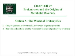 CHAPTER 27
Prokaryotes and the Origins of
Metabolic Diversity
Copyright © 2002 Pearson Education, Inc., publishing as Benjamin Cummings
Section A: The World of Prokaryotes
1. They’re (almost) everywhere! An overview of prokaryotic life
2. Bacteria and archaea are the two main branches of prokaryote evolution
 