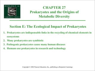 Ap27 prokaryotes | PPT