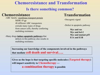 Chemoresistance and Transformation  -ABC family-  membrane transport protein MDR1-P-gp 48 different ABC transporters extrude many types of drugs  from cancer cells, thereby conferring  multidrug resistance  Is there something common? -Oncogenic signal -Defect in apoptotic pathway -Many drugs  induce apoptotic pathways  that  defects in this pathway also results in  multidrug resistancc Myc and ras Myc and bcl-2 Myc and mutant p53 E1A and E1B Increasing our knowledge of the components involved in the pathways that mediate  cell death and survival….. Gives us the hope is that targeting specific molecules ( Targeted therapy ) will impart sensitivity to  Chemotherapy   —  a combination therapy  is possible  Chemoresistance Transformation  