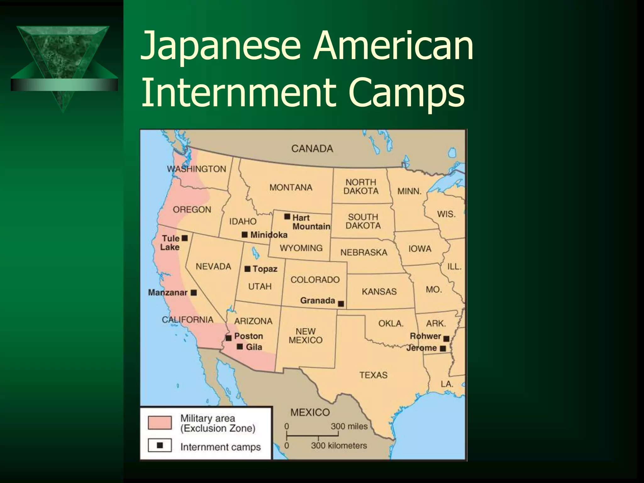 Japanese American 
Internment Camps 
 
