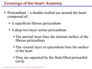 Coverings of the Heart: Anatomy Pericardium – a double-walled sac around the heart composed of: A superficial fibrous pericardium A deep two-layer serous pericardium The parietal layer lines the internal surface of the fibrous pericardium The visceral layer or epicardium lines the surface of the heart They are separated by the fluid-filled pericardial cavity 