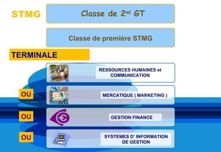 STMG           Classe de 2nd GT


            Classe de première STMG

TERMINALE
                    RESSOURCES HUMAINES et
                        COMMUNICATION



 OU                  MERCATIQUE ( MARKETING )



 OU                     GESTION FINANCE



 OU                  SYSTEMES D’ INFORMATION
                           DE GESTION
 