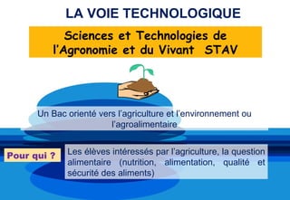 LA VOIE TECHNOLOGIQUE
             Sciences et Technologies de
          l’Agronomie et du Vivant STAV




      Un Bac orienté vers l’agriculture et l’environnement ou
                        l’agroalimentaire


Pour qui ?   Les élèves intéressés par l’agriculture, la question
             alimentaire (nutrition, alimentation, qualité et
             sécurité des aliments)
 