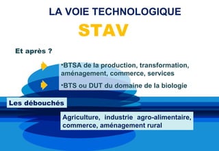 LA VOIE TECHNOLOGIQUE

                   STAV
 Et après ?

              •BTSA de la production, transformation,
              aménagement, commerce, services
              •BTS ou DUT du domaine de la biologie

Les débouchés

              Agriculture, industrie agro-alimentaire,
              commerce, aménagement rural
 