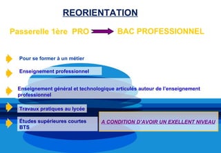 REORIENTATION

Passerelle 1ère PRO                     BAC PROFESSIONNEL


  Pour se former à un métier

  Enseignement professionnel


 Enseignement général et technologique articulés autour de l’enseignement
 professionnel

  Travaux pratiques au lycée

  Études supérieures courtes     A CONDITION D’AVOIR UN EXELLENT NIVEAU
  BTS
 