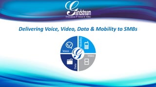 Delivering Voice, Video, Data & Mobility to SMBs 
 