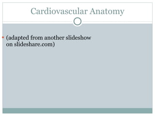 Cardiovascular Anatomy ,[object Object]