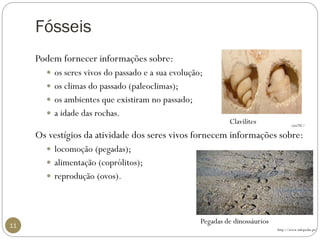 Fósseis 
11 
Podem fornecer informações sobre: 
os seres vivos do passado e a sua evolução; 
os climas do passado (paleoclimas); 
os ambientes que existiram no passado; 
aidade das rochas. 
Os vestígios da atividade dos seres vivos fornecem informações sobre: 
locomoção (pegadas); 
alimentação (coprólitos); 
reprodução (ovos). 
cienTIC/ 
Clavilites 
http://www.infopedia.pt/ 
Pegadas de dinossáurios  