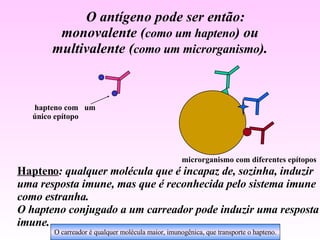 O antígeno pode ser então: monovalente ( como um hapteno ) ou  multivalente ( como um microrganismo ). hapteno com  um único epítopo microrganismo com diferentes epítopos Hapteno : qualquer molécula que é incapaz de, sozinha, induzir uma resposta imune, mas que é reconhecida pelo sistema imune  como estranha.  O hapteno conjugado a um carreador pode induzir uma resposta imune. O carreador é qualquer molécula maior, imunogênica, que transporte o hapteno. 